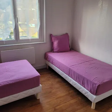 Les 5 Pommiers 6 Pers Gitesdes2vallees Cornimont